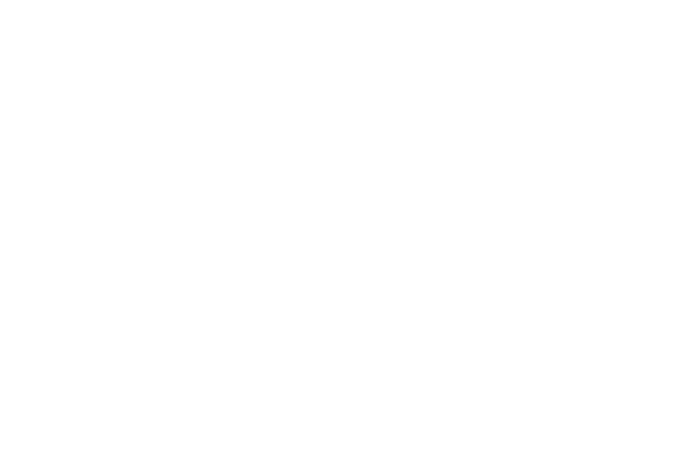The Wealth School